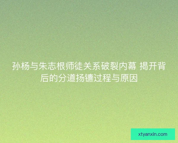 孙杨与朱志根师徒关系破裂内幕 揭开背后的分道扬镳过程与原因